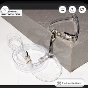 Transparent  leash and collar set- perfect for weddings!!